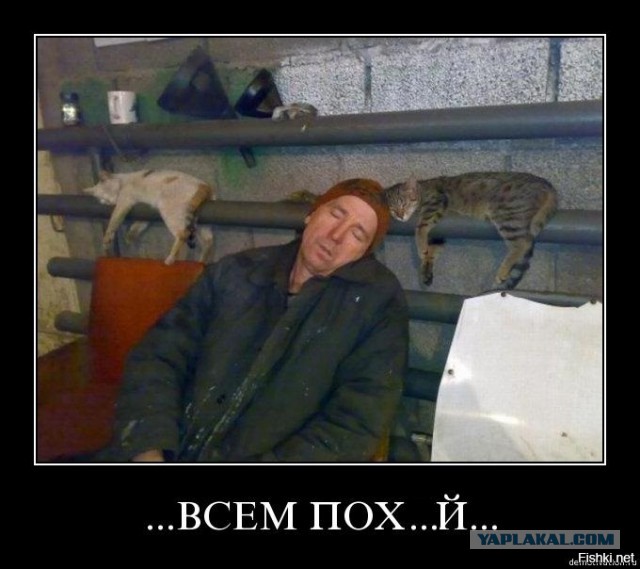 История из жизни