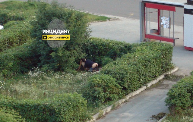 Секс в публичном месте