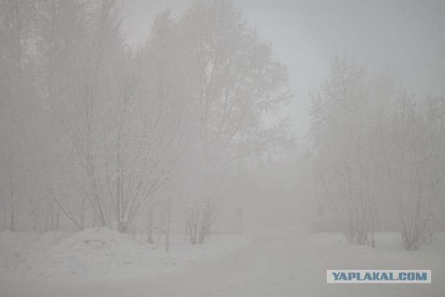 Сургут в -50 в картинках.