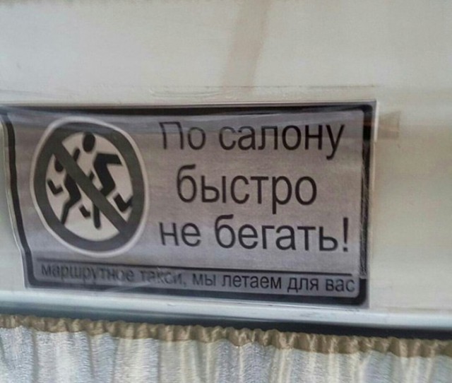 Подборка безудержного веселья