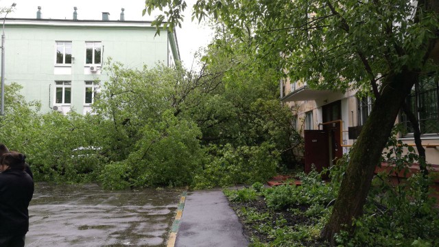 В Москве ураган!