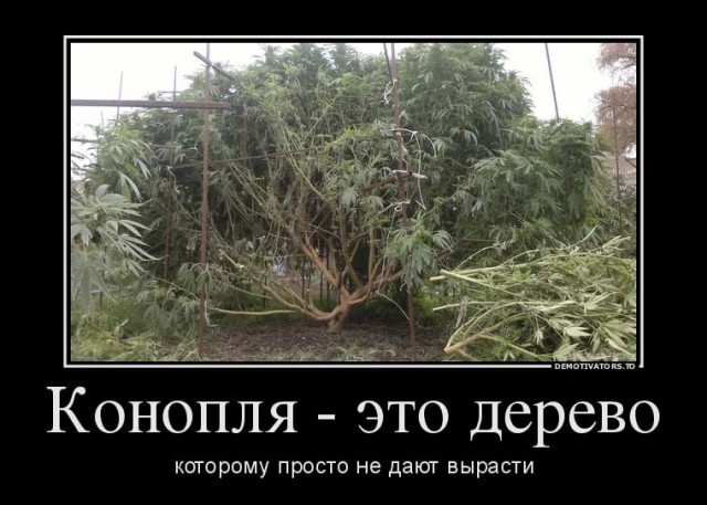 Беседка,  самостоятельно,  простая в изготовлении