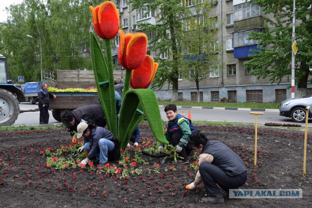 Зарядье. Абсурд.