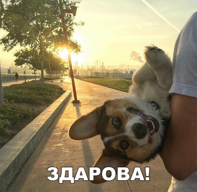 Нестандартный юмор