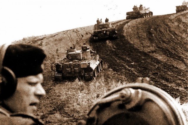 «Зверобой» и «Зубр» против «Тигров»