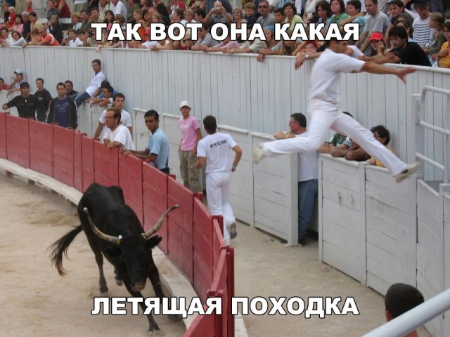 Прикольные картинки обо всем