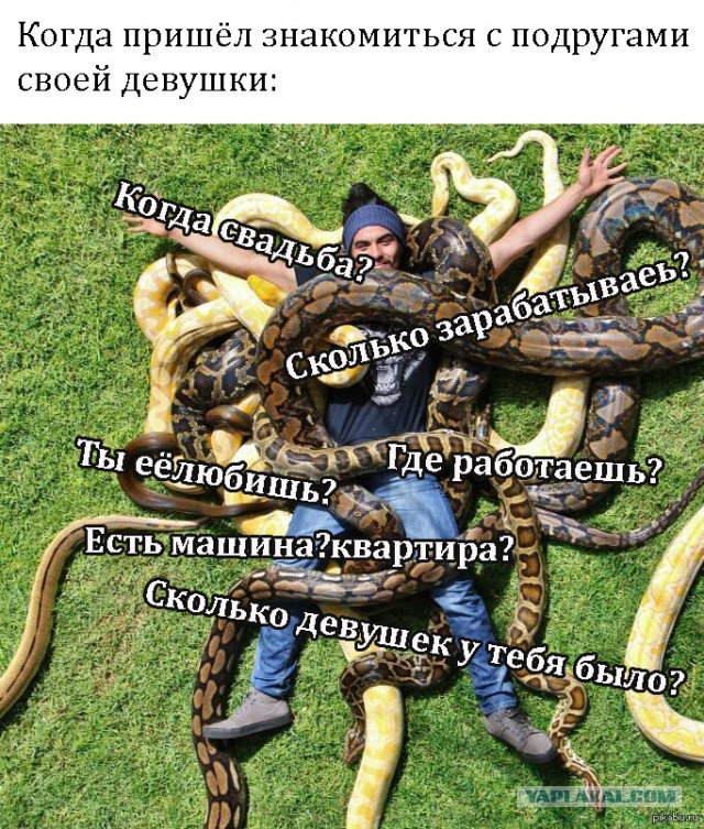 Разные картинки из интернета