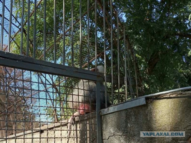 Ездил я в Одессу, значит