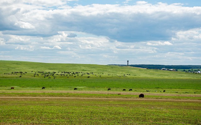 Деревенская Америка - 6