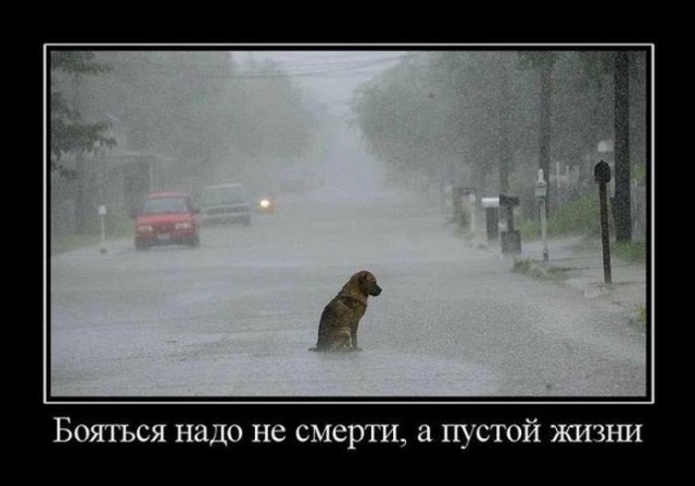 Демотиваторы