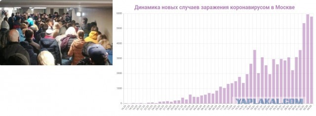 Власти Москвы разъяснили условия поездок на дачу и к родственникам