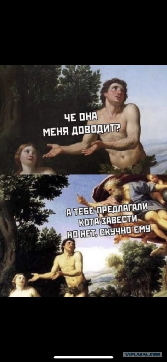 Бредзона 20.05.2020