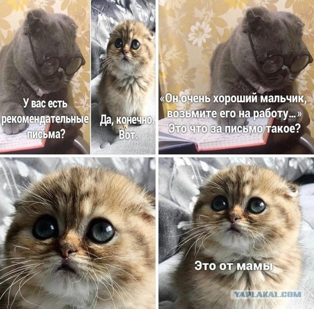 Бредзона 05.12.20