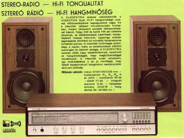 Как венгры сумели сохранить свои радиозаводы благодаря Videoton