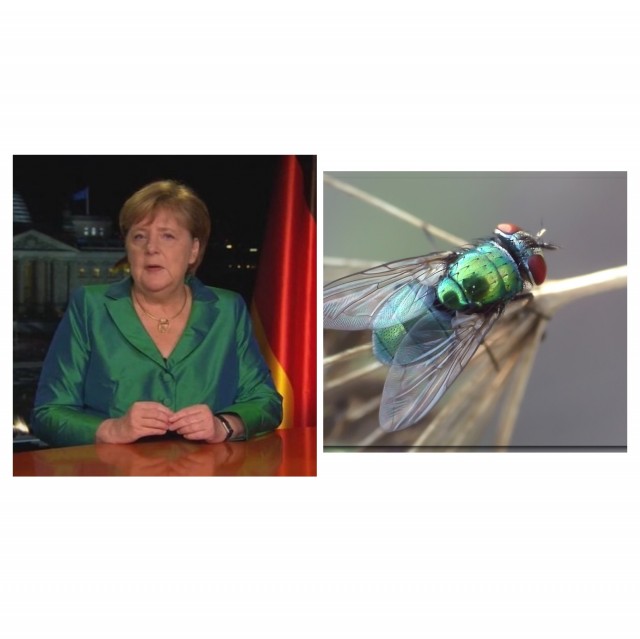 Я ухожу! Я устала!