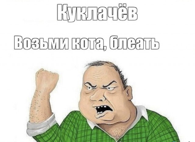 «Оскорбление! Куклачёв кота не взял!» Куклачёв рассказал, почему не стал брать кота у волонтёров