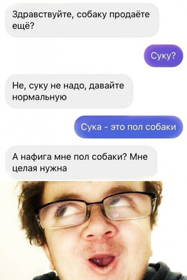 Полтора землекопа