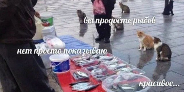 Концерн «Алмаз-Антей» показал первый гражданский автомобиль с водородно-электрической силовой установкой