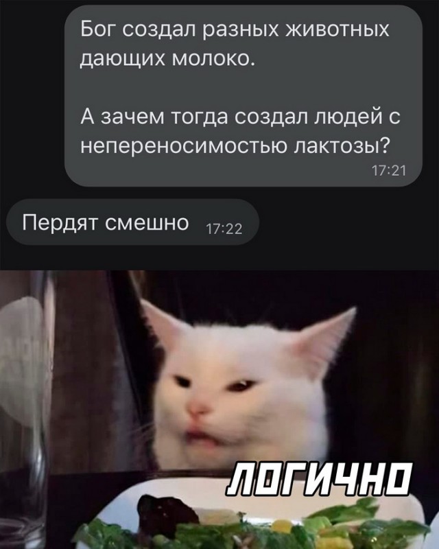 Картинки и мемы, всем хороших выходных