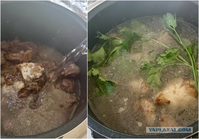 Кто не любит харчо? С орехами и сливой от Т. П. Сулаквелидзе