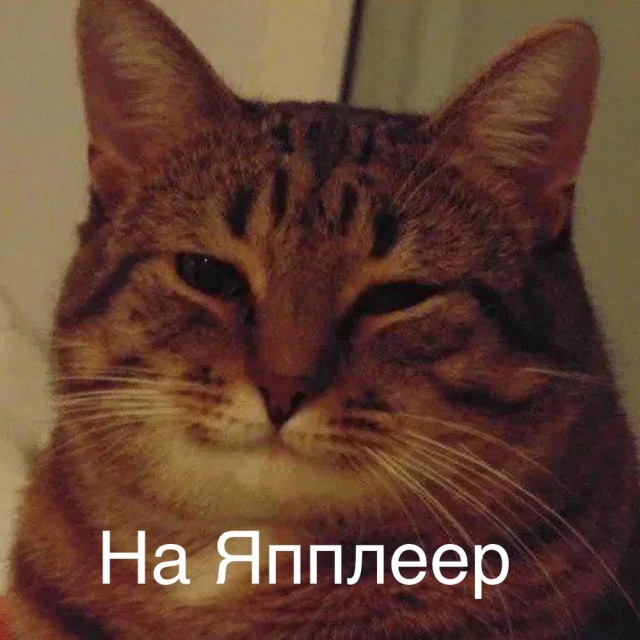 Звезда по имени Солнце