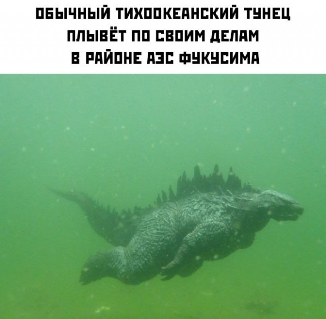 Прикольные и просто красивые картинки 01.09.2023