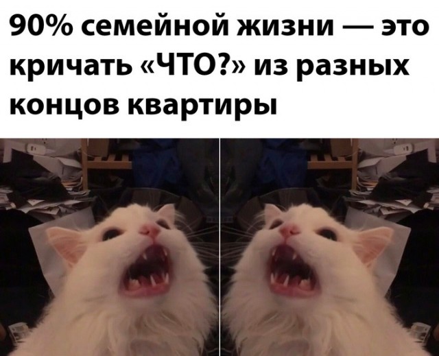 Так себе картинки 06.10.23