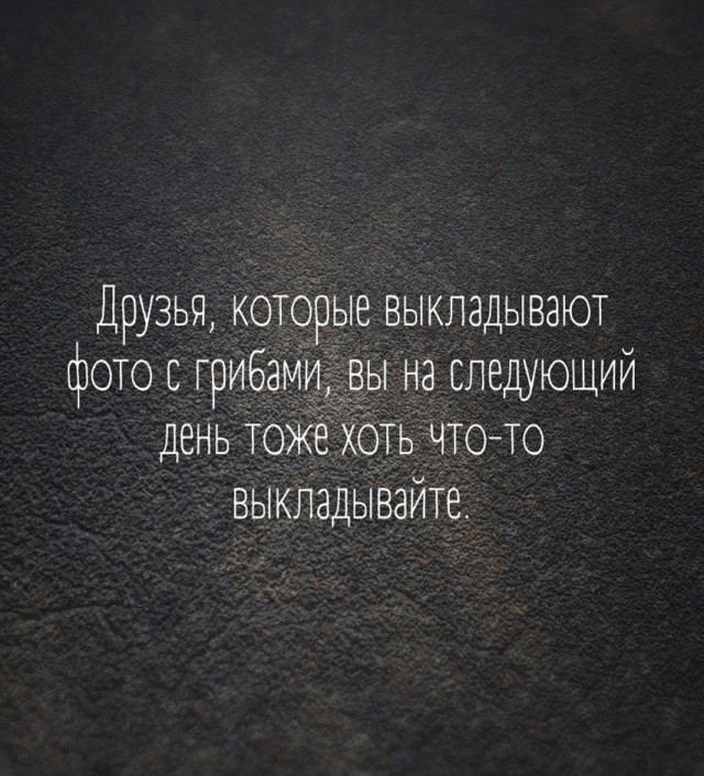 Так себе картинки 31.10.24