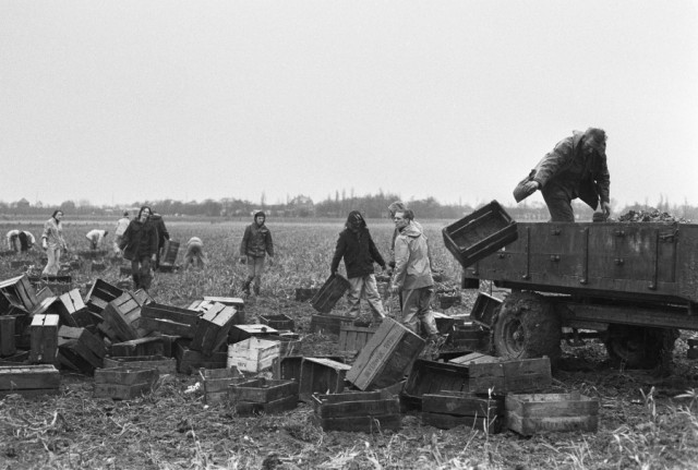 50 лет назад. Ноябрь 1974 года