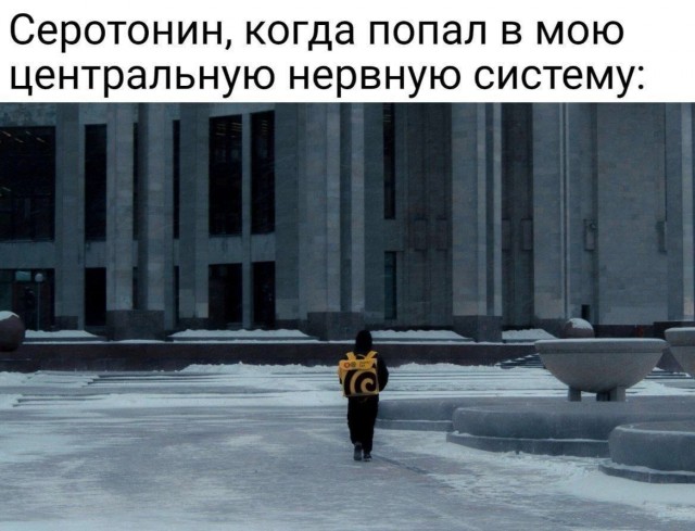 Так себе картинки 06.12.24