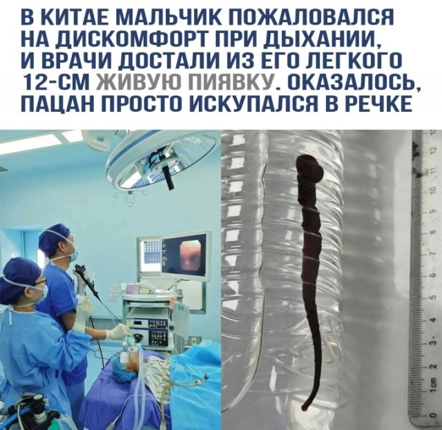 35 картинок от соседа Петросяна