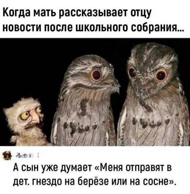 Доставка новостей
