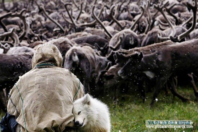 Красота! Лето на Ямале. Фото