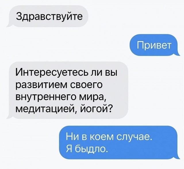 80 баянов из вацапов