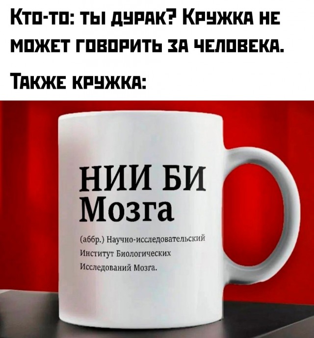 Весёлый полтишок 06.06.25