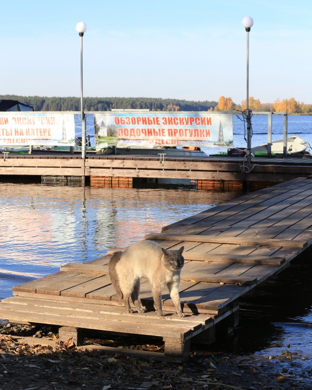 Так себе картинки 01.07.25
