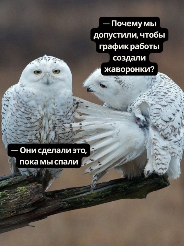 Завалялось тут случайно немного забавных картинок