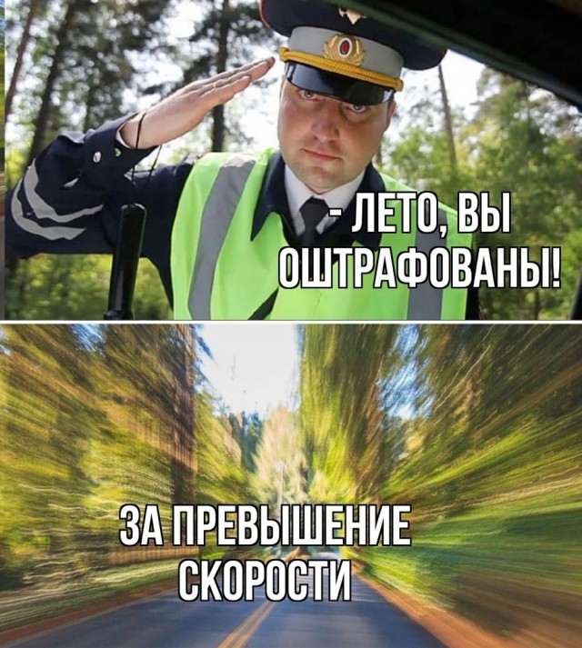 Веселое настроение в картинках (03.08.2025)