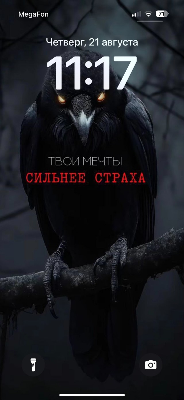 А какие у вас обои на рабочем столе телефона?