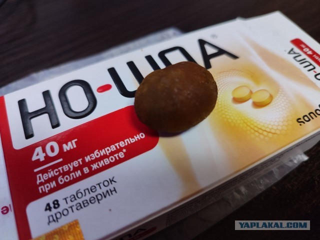 В больничку с отпуска