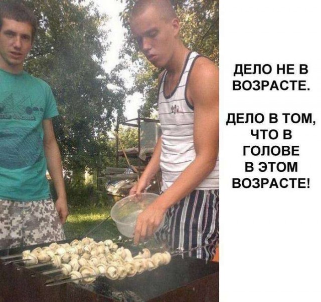 Картинки для деградации 79 (разной степени свежести)
