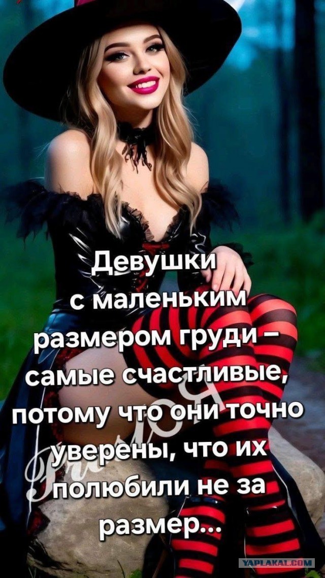 Субботние картинки