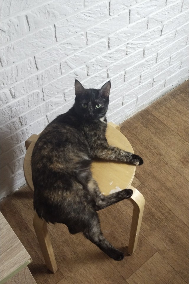 Скучалка