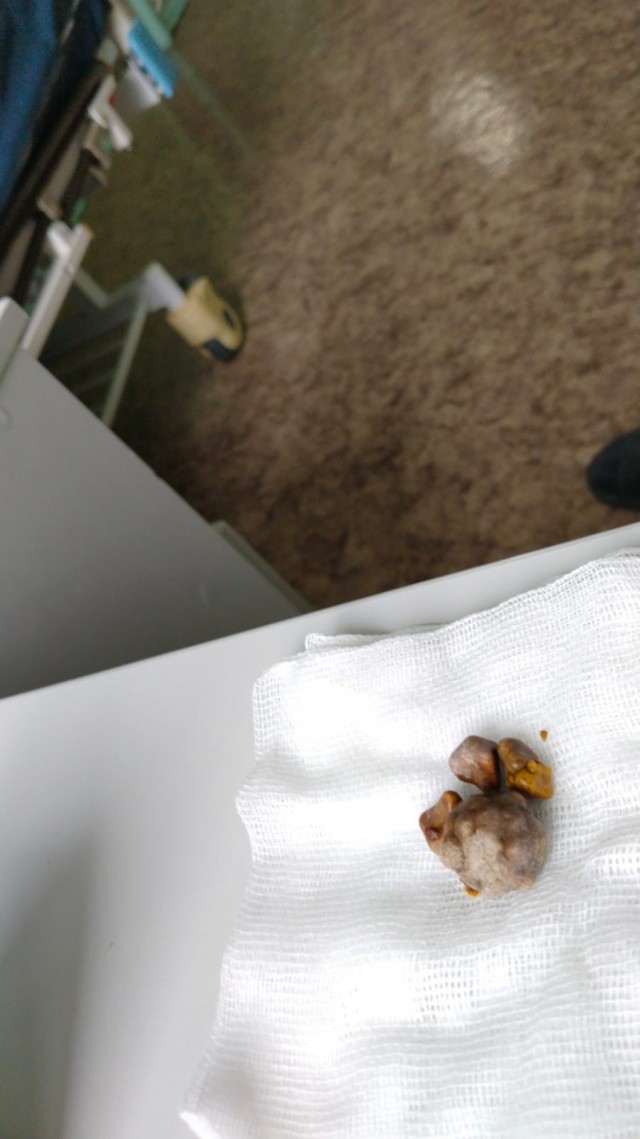 Рождественская сказка