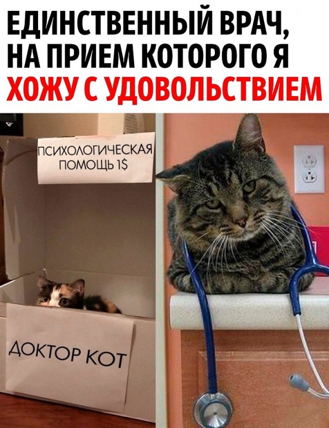 Обожаю наши службы психологической поддержки по телефону