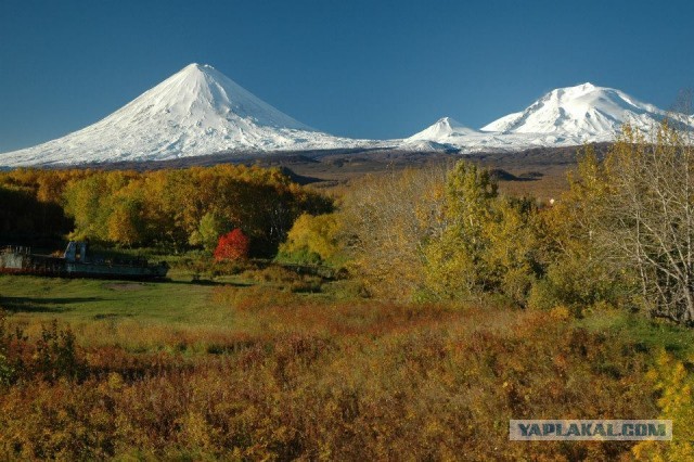 Моя Камчатка