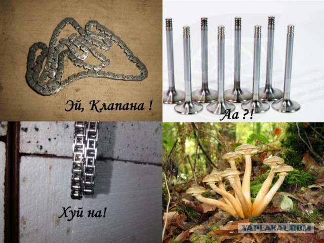 Автолюбителей пст.