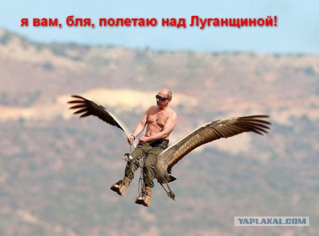 Украинские ВВС лишились очередного самолета