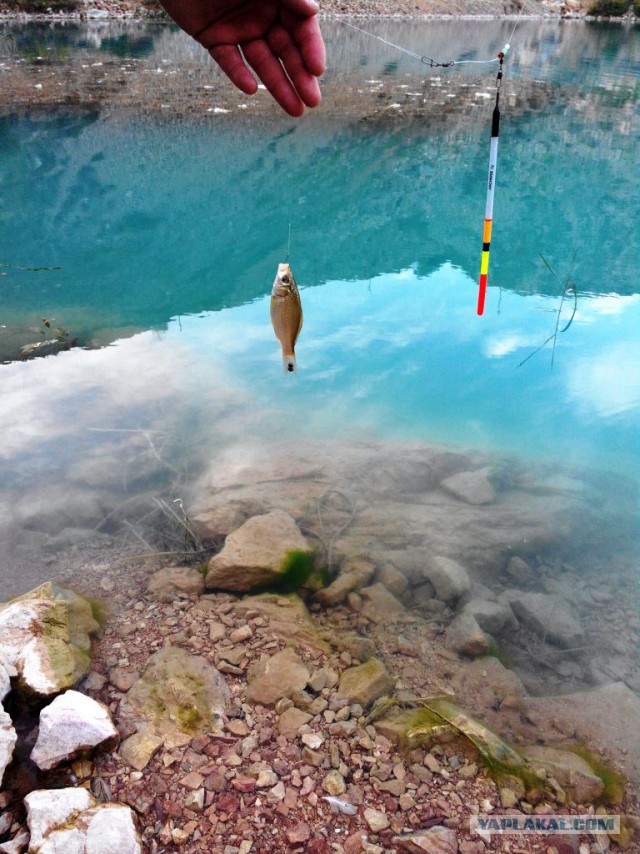 Решено!...на рыбалку..!