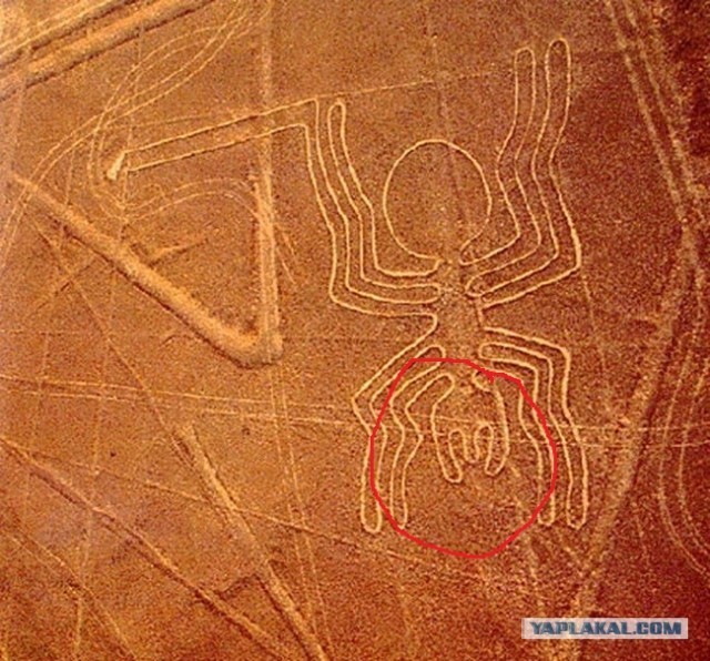 Фотозагадка на спутниковых снимках